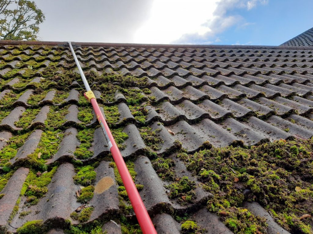 Maintaining Your Roof