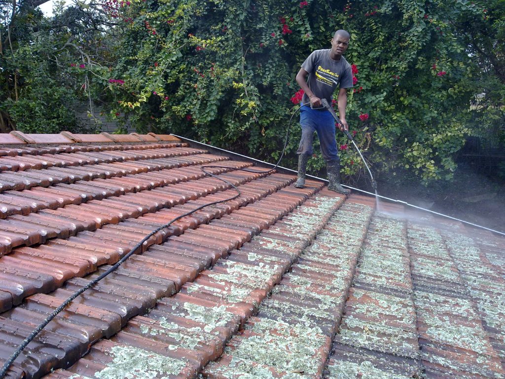 Roof Moss Removal